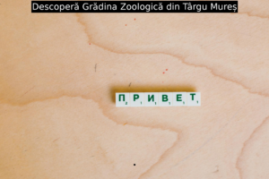 Descoperă Grădina Zoologică din Târgu Mureș